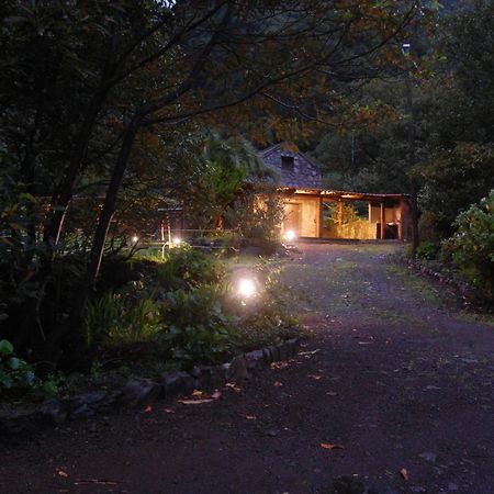 Nature Retreat - Laurel Forest Seixal  Zewnętrze zdjęcie