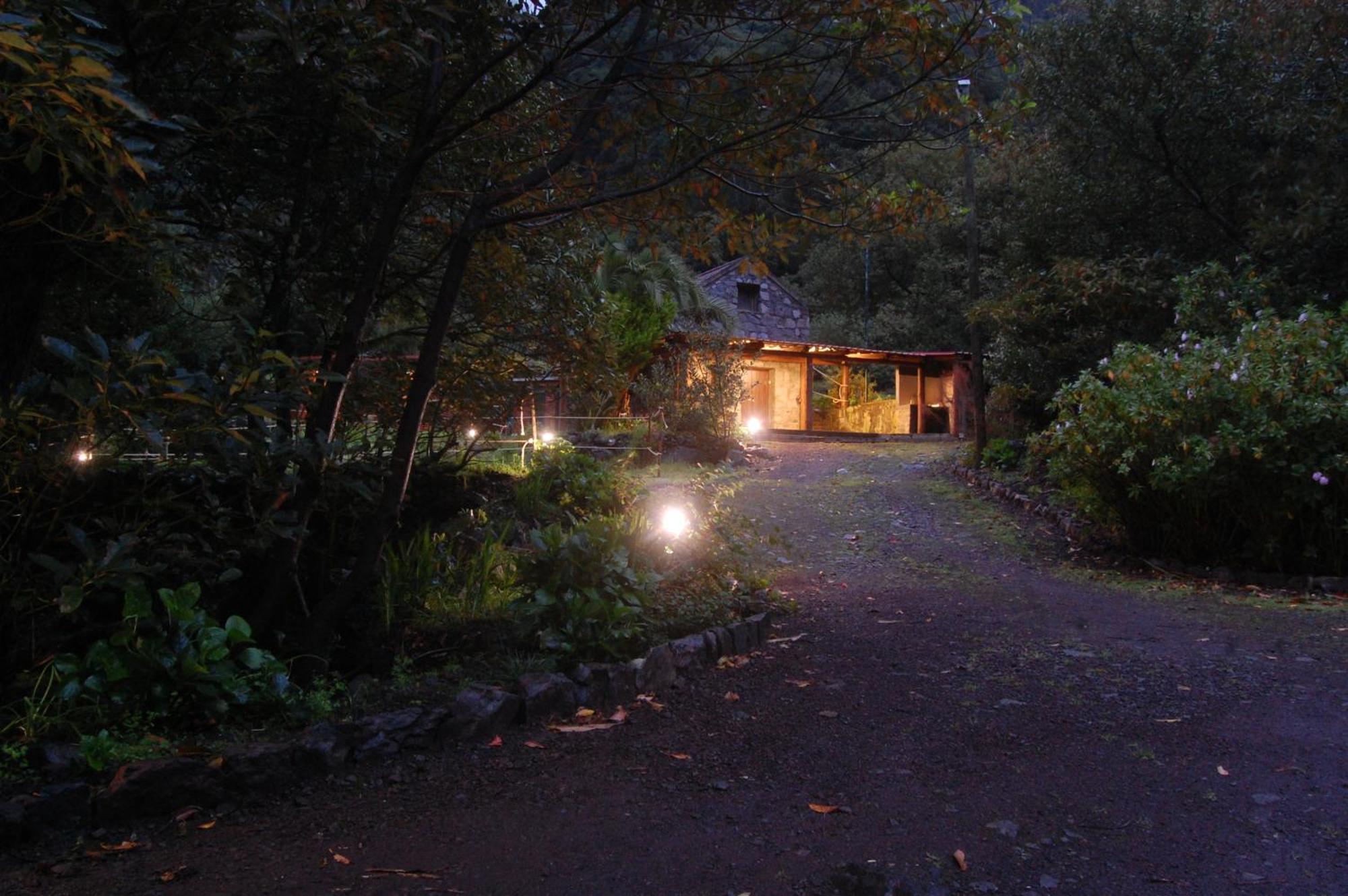 Nature Retreat - Laurel Forest Seixal  Zewnętrze zdjęcie